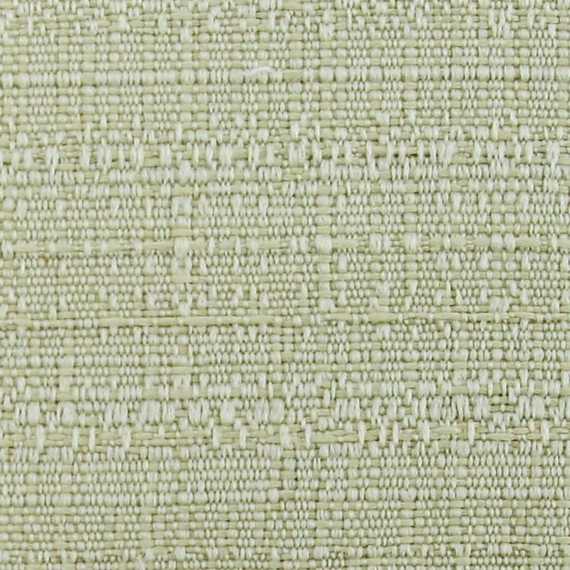 Palm
